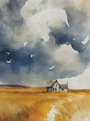 SA289 - Rolling Storm - 12x16