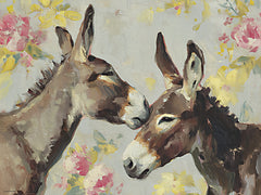 SA353 - Donkey Hugs - 16x12