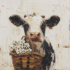 SA356 - Daisy Darling - 12x12