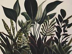 SA684 - Quiet Jungle I - 16x12