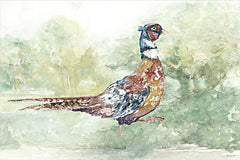 SDS1567 - Woodland Wanderer 1 - 18x12