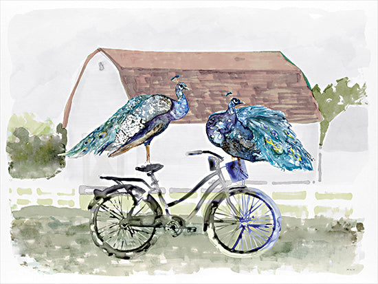 Stellar Design Studio SDS1585 - SDS1585 - Countryside Peacocks - 16x12 peacocks standing on bicycle whimsical watercolor illustration countryside scene from Penny Lane
