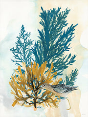 SDS1595 - By the Sea 1 - 12x16