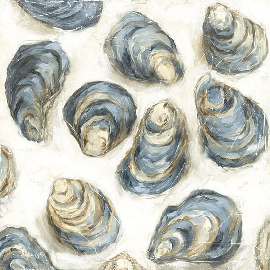 Sara G. Designs SGD375 - SGD375 - Treasures of the Tide I - 12x12 oyster shells, coastal wall art, teal oyster pattern, sea life illustration, beach house decor, nautical shell artwork, painterly brush strokes, marine texture from Penny Lane