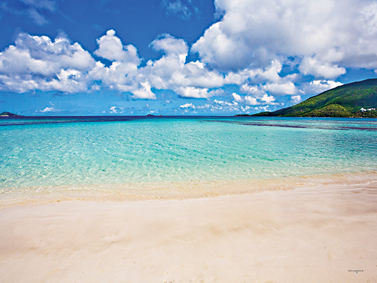 Catch A Star Fine Art STAR104 - STAR104 - Caribbean Bay - 16x12 tropical beach, crystal clear water, blue sky, vacation paradise, island scene, sandy shoreline, turquoise ocean from Penny Lane
