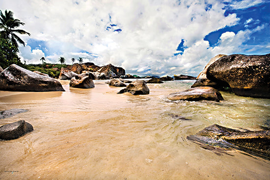 Catch A Star Fine Art STAR137 - STAR137 - Devils Bay Beach - 18x12 boulder beach, tidal pools, granite rocks, tropical foliage, palm trees, scenic beach, ocean water, tropical coastline from Penny Lane