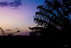 STAR151 - Purple Sunset - 18x12