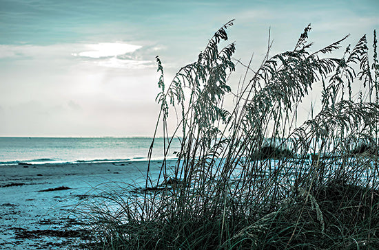 Catch A Star Fine Art STAR158 - STAR158 - Turquoise Waters - 18x12 beach grass, coastal landscape, sunrise at shore, ocean horizon, sea oats, natural vegetation, serenity from Penny Lane