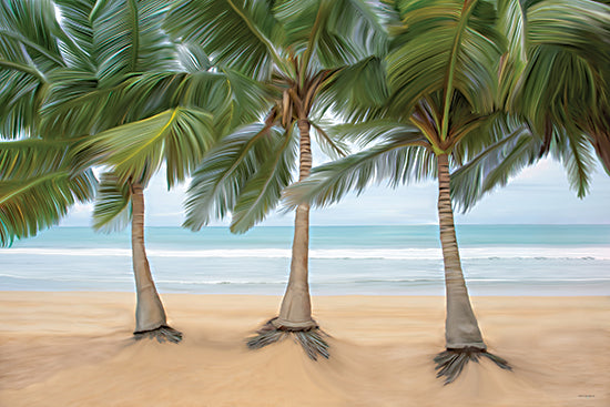 Catch A Star Fine Art STAR362 - STAR362 - Sandy Solitude - 18x12 close palm trees beach painting style, tropical seaside palms, ocean horizon tropical from Penny Lane