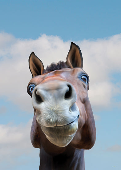 Catch A Star Fine Art STAR367 - STAR367 - Howdy Partner - 12x18 funny donkey face close-up, humorous animal portrait, playful farm animal selfie angle from Penny Lane