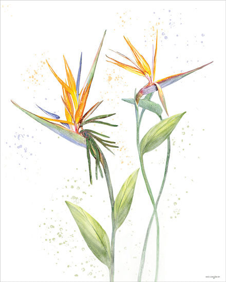 Catch A Star Fine Art STAR416 - STAR416 - Bird of Paradise - 12x16 botanical, floral, tropical, greenery, bird of paradise, splatter, whimsical, painterly, watercolor, orange from Penny Lane