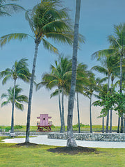 STAR417 - Pink Oasis - 12x16