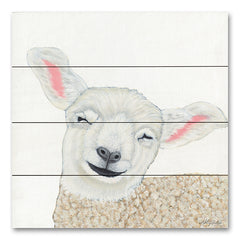 AJ112PAL - Smiling Sheep - 12x12