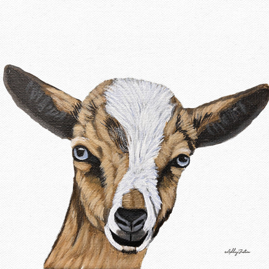 Ashley Justice AJ212 - AJ212 - Goat III - 12x12 Goat, Farm Animal, Brown and White Goat, Portrait from Penny Lane