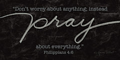 ALP2189 - Pray About Everything - 18x9