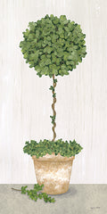 ALP2290 - Boxwood Sphere Topiary - 9x18