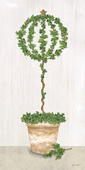 ALP2291 - Boxwood Trained Topiary - 9x18