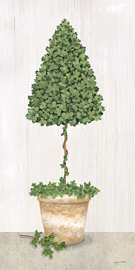 Annie LaPoint ALP2292 - ALP2292 - Boxwood Tree Topiary - 9x18 Topiary, Boxwood Topiary, Potted Topiary, Tree Topiary, Greenery, French Country from Penny Lane