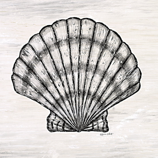 Annie LaPoint ALP2328 - ALP2328 - Scallop Shell - 12x12 Scallop Shell, Shell, Coastal, Neutral Pallet, Aquatic Animal from Penny Lane