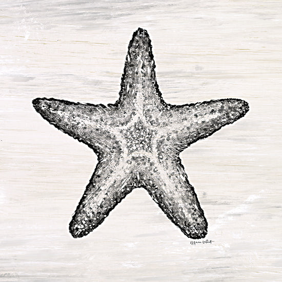 Annie LaPoint ALP2329 - ALP2329 - Starfish - 12x12 Starfish, Sea Stars, Coastal, Neutral Pallet, Aquatic Animal from Penny Lane
