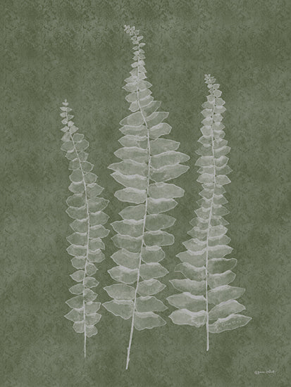 Annie LaPoint ALP2462 - ALP2462 - Woodland Ferns I - 12x16 Botanical, Ferns, Woodland Ferns, Greenery, Watercolor from Penny Lane