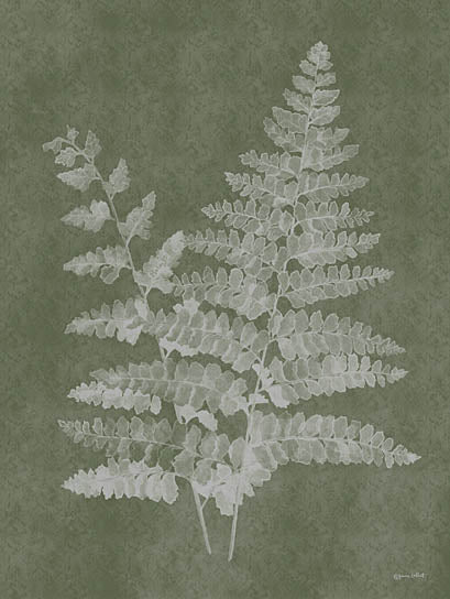 Annie LaPoint ALP2463 - ALP2463 - Woodland Ferns II - 12x16 Botanical, Ferns, Woodland Ferns, Greenery, Watercolor from Penny Lane