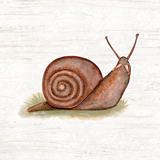 Annie LaPoint ALP2528 - ALP2528 - Honeybloom Snail - 12x12 Snail, Nature from Penny Lane