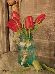 ANT101 - Country Tulips - 12x16
