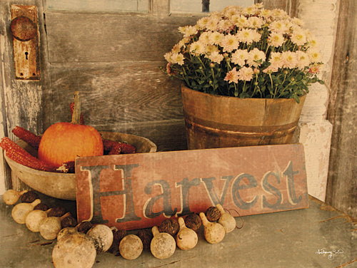 Anthony Smith ANT106 - Autumn Harvest - Primitive, Harvest, Pumpkin, Floral, Signs, Decorative, Still Life
 from Penny Lane Publishing