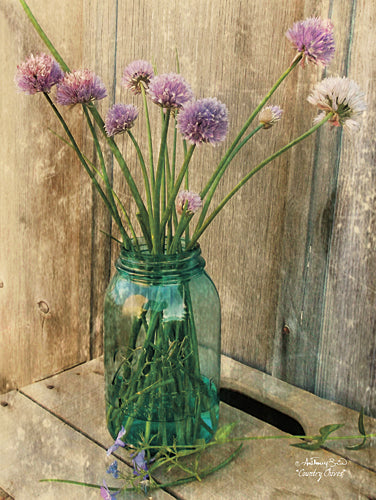 Anthony Smith ANT126 - Country Chives - Chives, Jar from Penny Lane Publishing