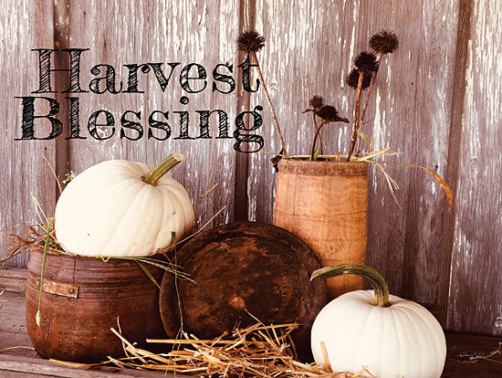 Anthony Smith ANT149 - ANT149 - Harvest Blessings - 16x12 Signs, Typography, Harvest Blessing, Fall, White Pumpkins, from Penny Lane