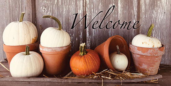 Anthony Smith ANT151 - ANT151 - Welcome Pumpkin Shelf - 18x9 Signs, Typography, Welcome, Fall, Clay Pots, Pumpkins, Hay from Penny Lane