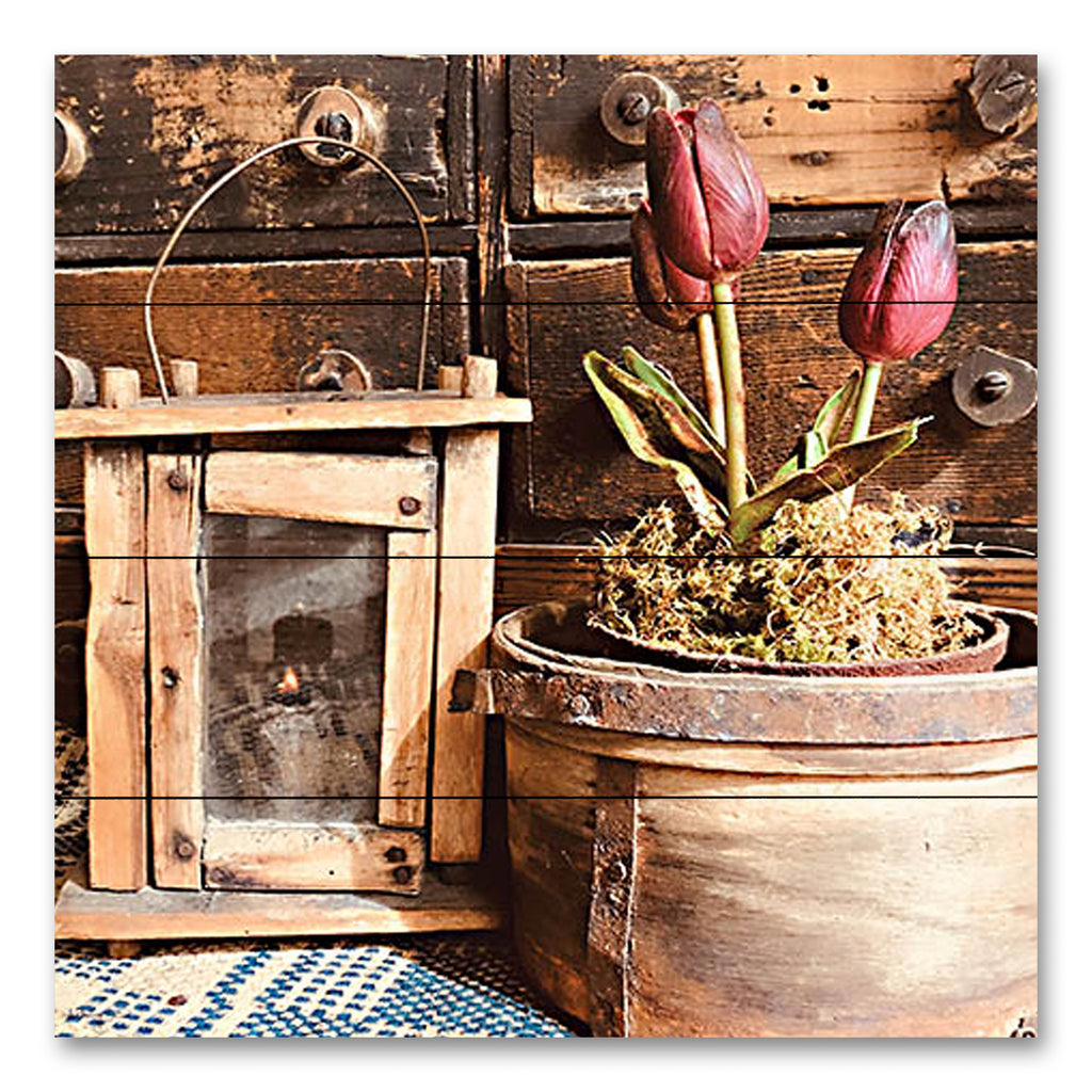 Anthony Smith ANT157PAL - ANT157PAL - Treasured Tulips - 12x12  Photography, Still Life, Flowers, Tulips, Vintage, Basket, Lantern, Antiques, Vintage, Spring, Farmhouse/Country from Penny Lane