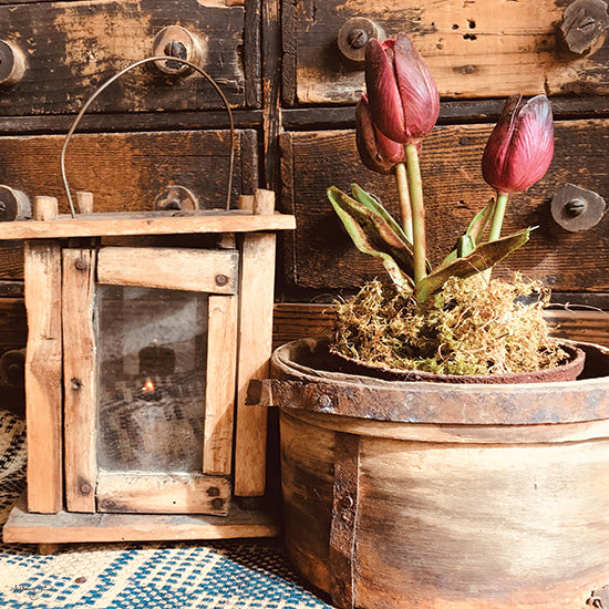 Anthony Smith ANT157 - ANT157 - Treasured Tulips - 12x12  Photography, Still Life, Flowers, Tulips, Vintage, Basket, Lantern, Antiques, Vintage, Spring, Farmhouse/Country from Penny Lane
