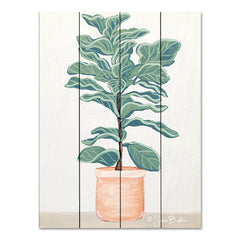 BAKE190PAL - Fiddle Leaf Fig - 12x16