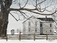 BJ1127GP - A Little Snow House