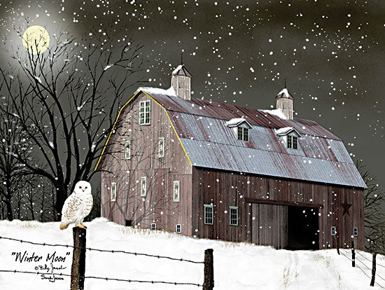 Billy Jacobs BJ1296 - BJ1296 - Winter Moon - 16x12 Barn, Farm, Owl, White Owl, Winter, Moon, Winter Moon, Night, Snow, Folk Art from Penny Lane