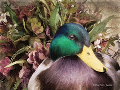 BLUE171 - Woodland Mallard Floral Portrait - 16x12