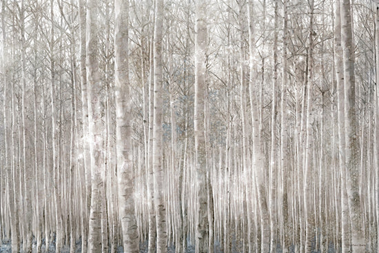 Bluebird Barn BLUE456 - BLUE456 - Birch Trees     - 18x12 Photography, Birch Trees, Forest from Penny Lane