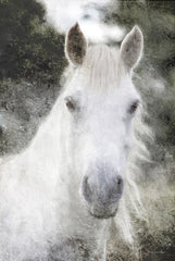 BLUE461 - White Horse Mystique    - 12x18