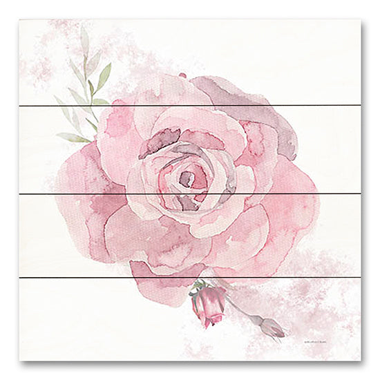 Bluebird Barn BLUE531PAL - BLUE531PAL - Cottage Rose - 12x12 Cottage Rose, Roses, Flowers, Pink Rose, Watercolor from Penny Lane