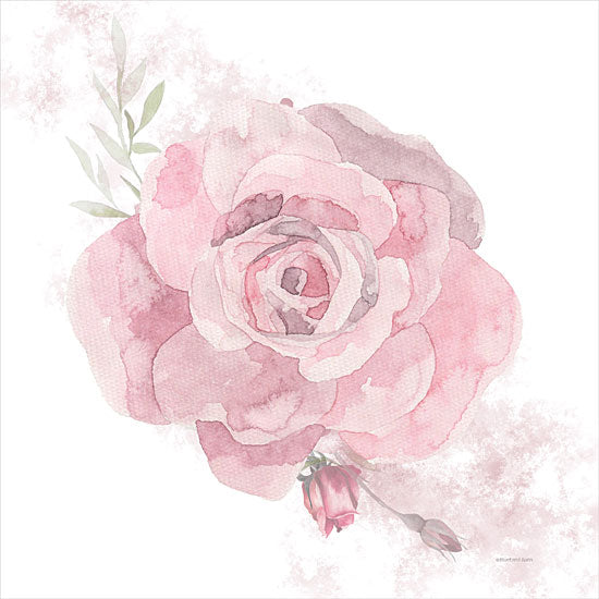 Bluebird Barn BLUE531 - BLUE531 - Cottage Rose - 12x12 Cottage Rose, Roses, Flowers, Pink Rose, Watercolor from Penny Lane