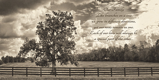 Susie Boyer BOY340A- Our Family - Trees, Family, Fence, Black & White, Clouds from Penny Lane Publishing