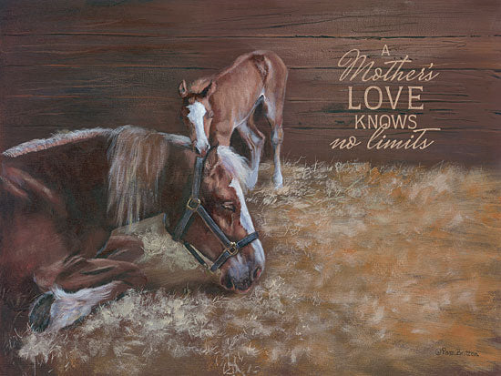 Pam Britton BR390 - A Mother's Love - Horses, Mother, Love, Stall from Penny Lane Publishing