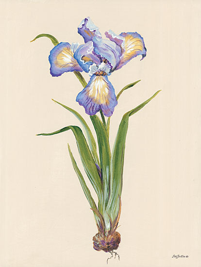 Pam Britton BR502 - BR502 - Blue Iris - 12x16 Blue Iris, Flower from Penny Lane
