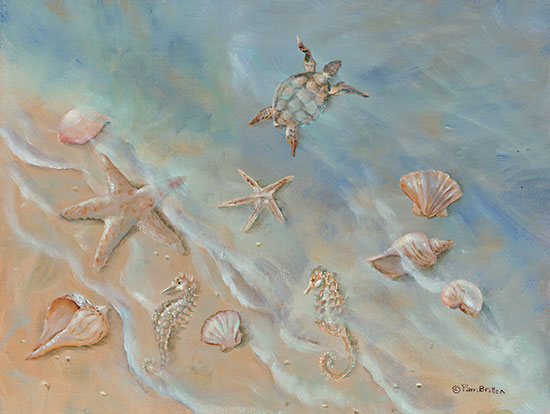 Pam Britton BR510 - BR510 - Seashore Star II - 16x12 Shells, Starfish, Sand Dollars, Coast, Beach, Sand, Ocean from Penny Lane