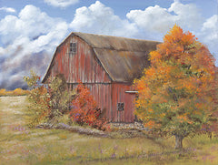BR540 - Autumn Barn - 16x12