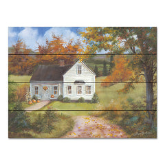 BR541PAL - Fall in the Country - 16x12