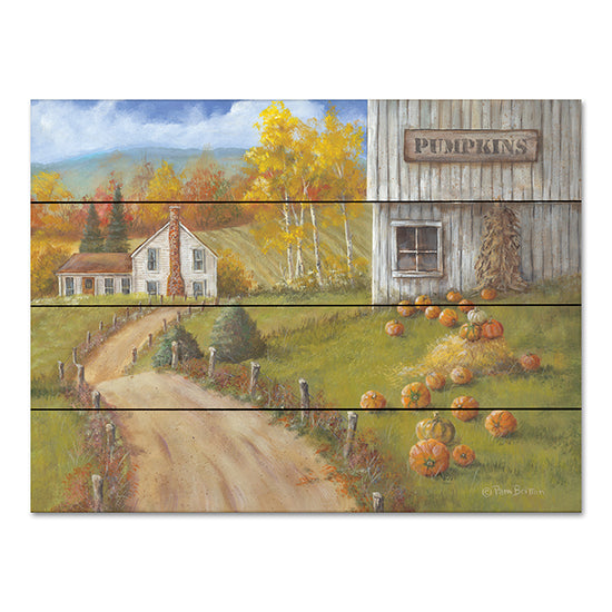 Pam Britton BR542PAL - BR542PAL - Harvest Pumpkin Farm - 16x12 Pumpkin Farm, Pumpkins, Farm, Barn, House, Road, Landscape, Fall, Autumn from Penny Lane