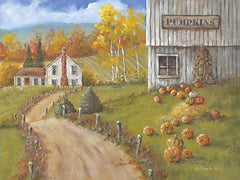 BR542 - Harvest Pumpkin Farm - 16x12